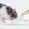 SeatyPet™ Dispenser portatile di Cibo e Acqua