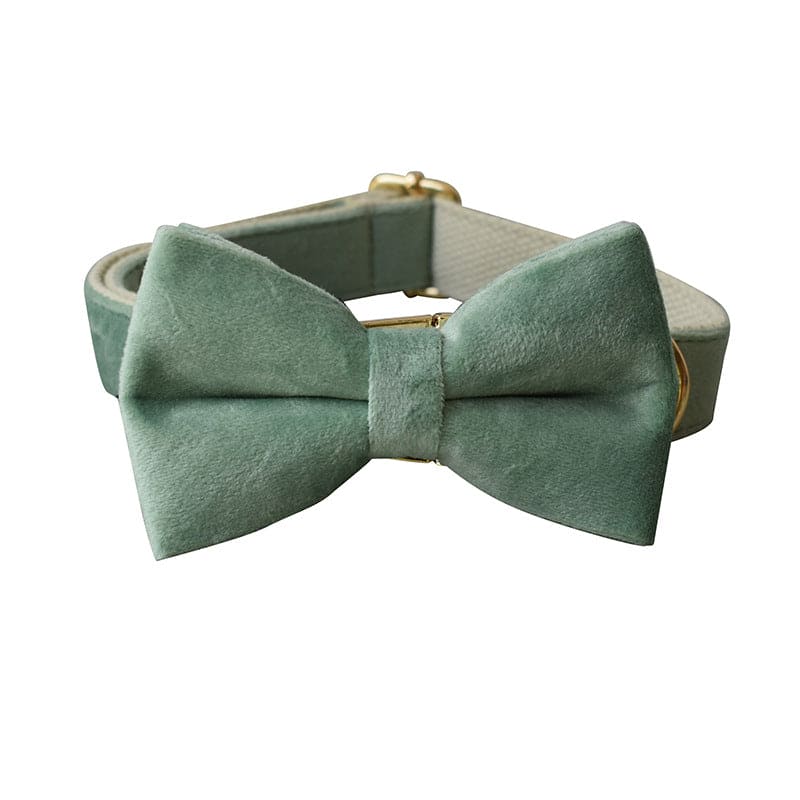 SeatyPet™ Mint Green Bow Tie Collar