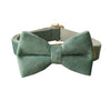 Collare con Papillon Verde Menta SeatyPet™