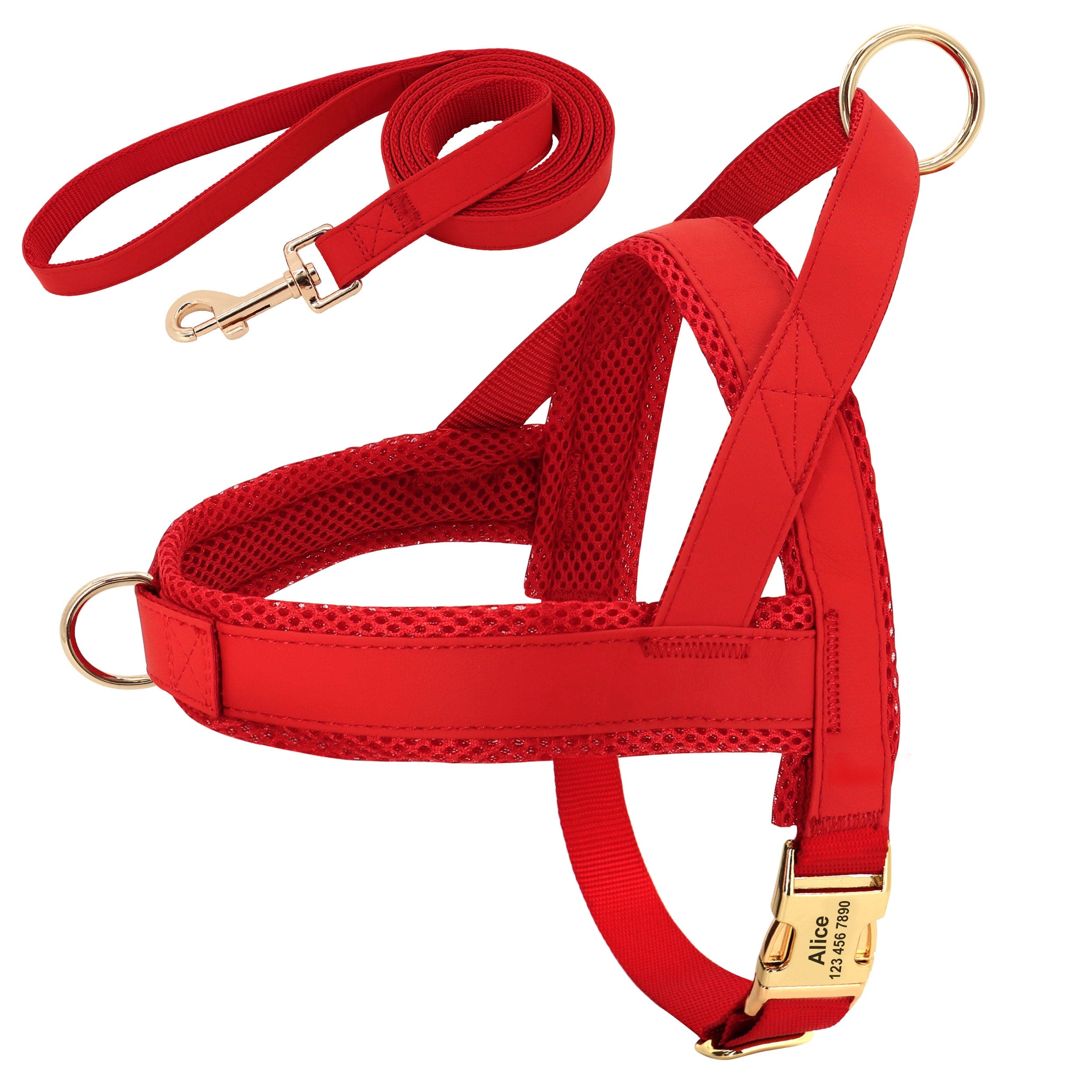 Harness and Leash | Elegant model