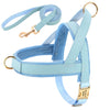 Harness and Leash | Elegant model