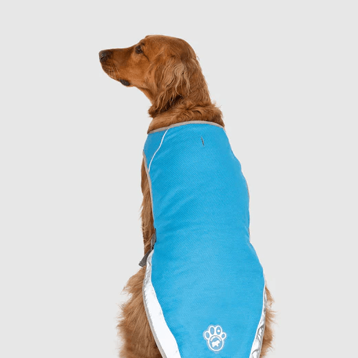 Gilet Rinfrescante per Cani | SeatyPet™