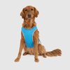 Gilet Rinfrescante per Cani | SeatyPet™