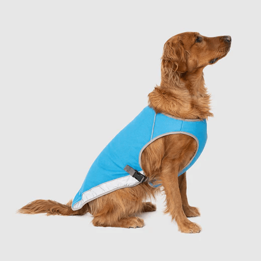 Gilet Rinfrescante per Cani | SeatyPet™