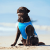 Gilet Rinfrescante per Cani | SeatyPet™