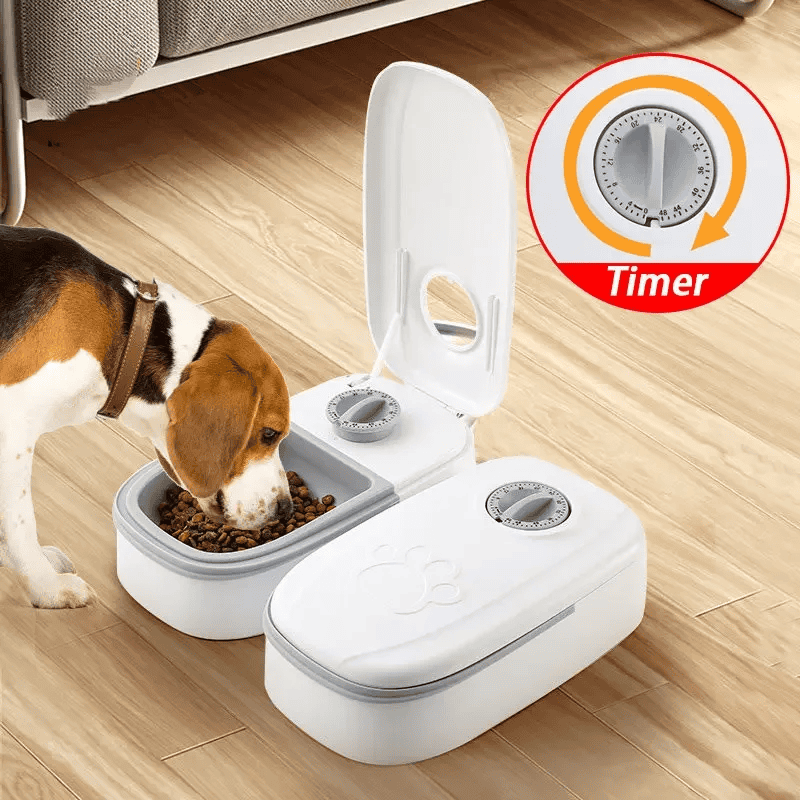 Dispenser di Cibo Automatico per Cani