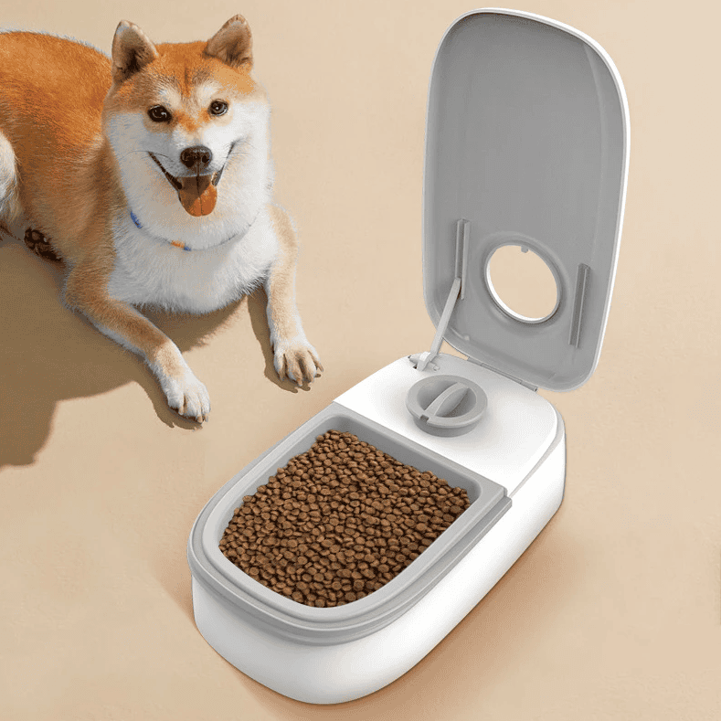 Dispenser di Cibo Automatico per Cani