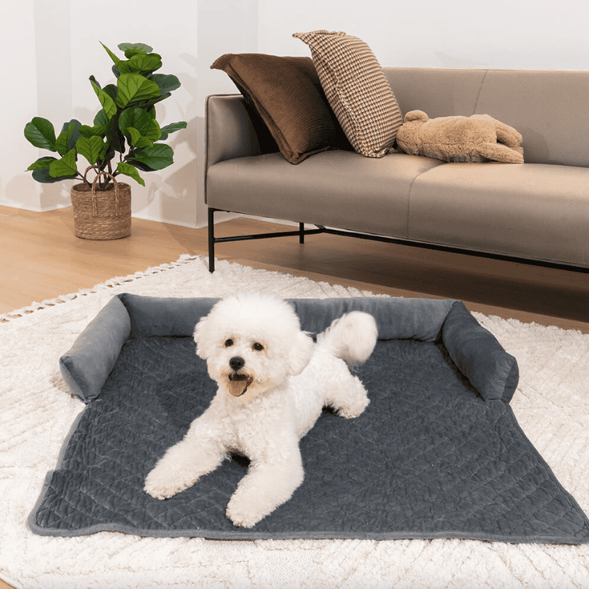 DivanoPet™ il lettino per Cani Multifunzionale di SeatyPet™ – Seaty Pet