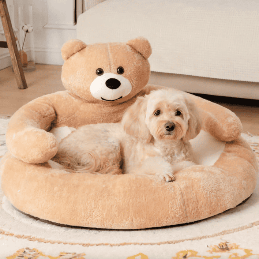 Teddy bear top dog bed