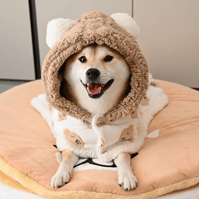 Poncho style blanket | 🐶🐻 Teddy Bear Model