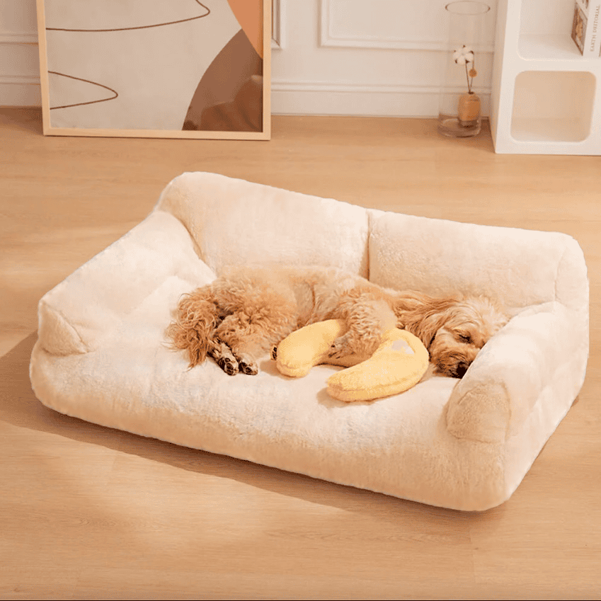 Cuccia PATAM Per Cani E Gatti | Divanetto Sagomato Con Schienale | Lavabile In Lavatrice | King Beige - Foto 6