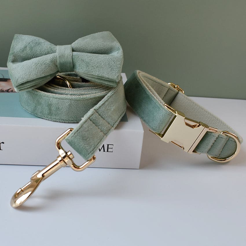 SeatyPet™ Mint Green Bow Tie Collar