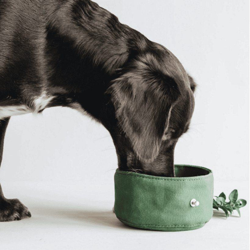 Travel bowl for dogs: Practical, Foldable and Waterproof