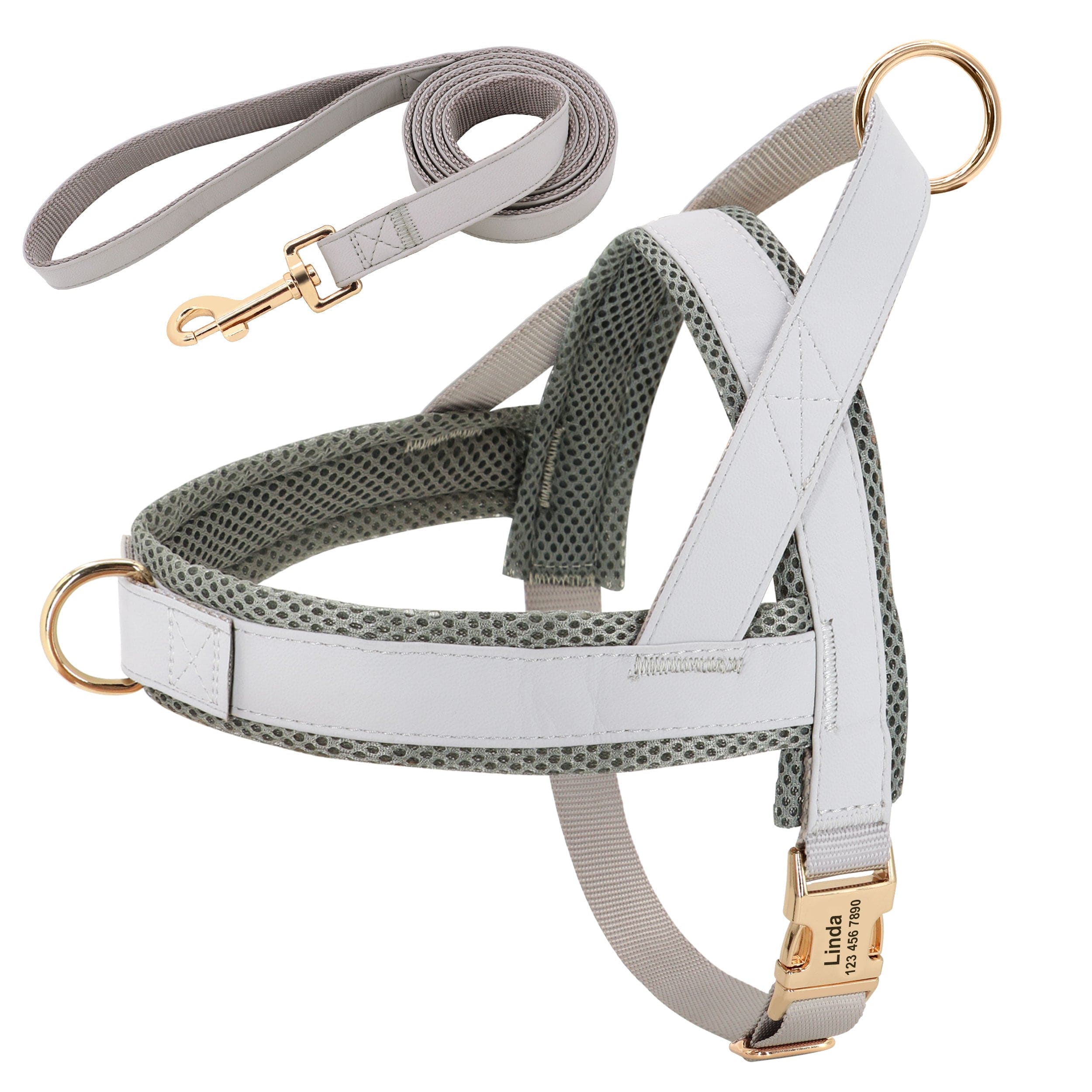 Harness and Leash | Elegant model