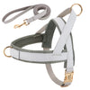 Harness and Leash | Elegant model